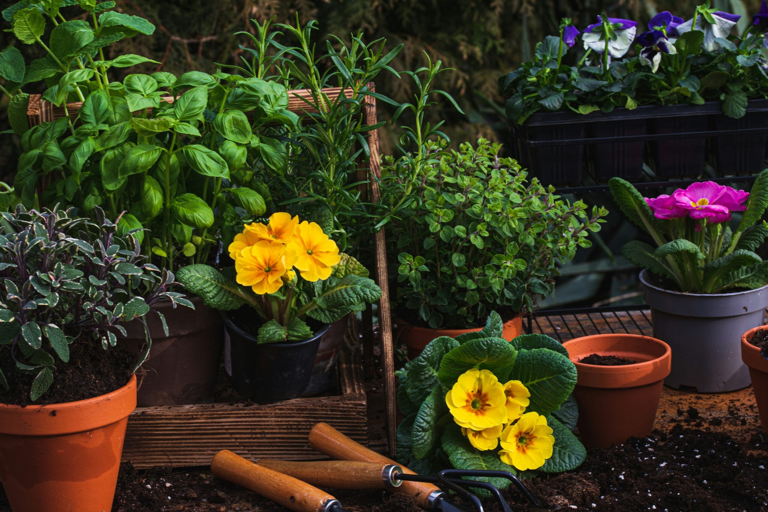 It’s Time to Plan Ahead for Home Hardening